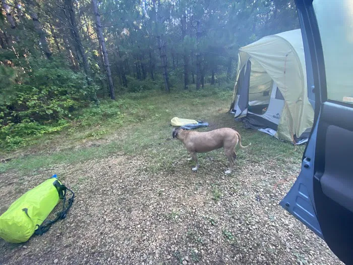 Glowconsin Picture 2