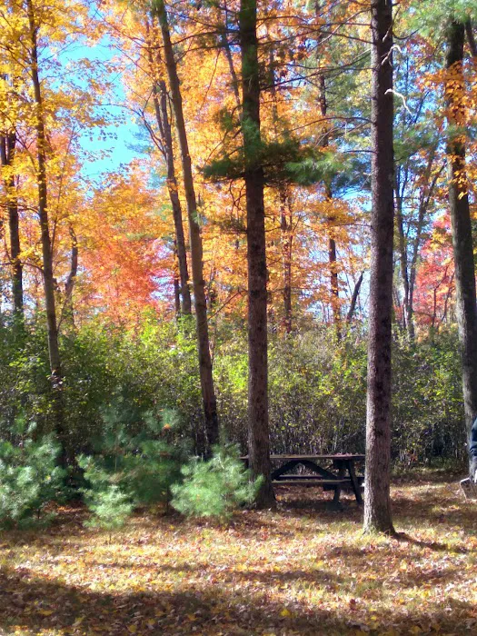 Deer Run Campground LLC Picture 8