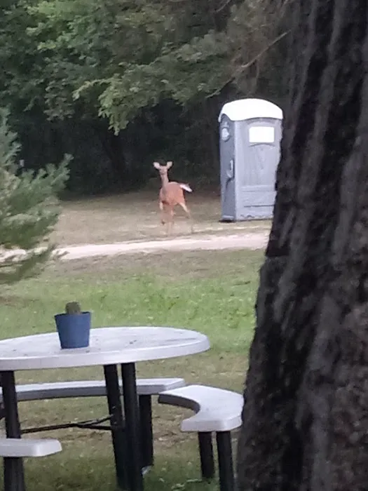 Deer Run Campground LLC Picture 2