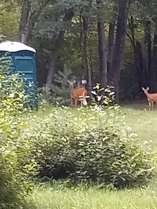 Deer Run Campground LLC Picture 7