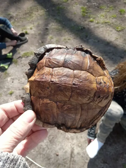 Deer Run Campground LLC Picture 1