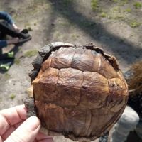 Deer Run Campground LLC ico