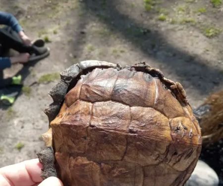 Deer Run Campground LLC