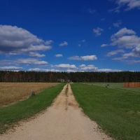 Shadow's Campground LLC ico