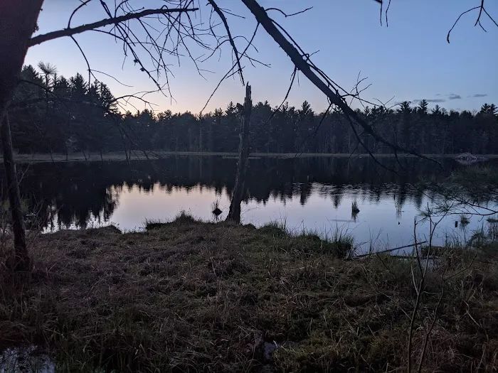 McMullen Memorial County Park Picture 9