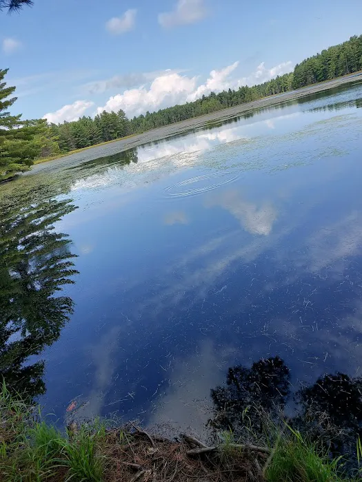 McMullen Memorial County Park Picture 1