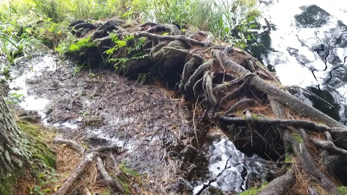 McMullen Memorial County Park Picture 10