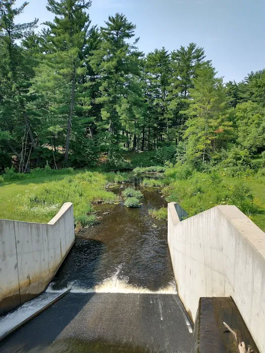 Pine View Campground Picture 5