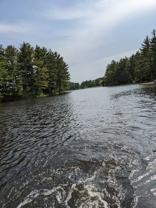 Pine View Campground Picture 3