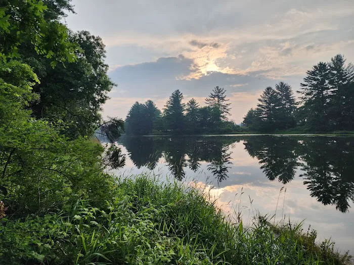 Pine View Campground Picture 9