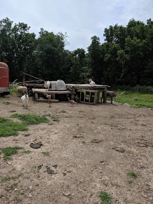 Shady Rest Acres Picture 6