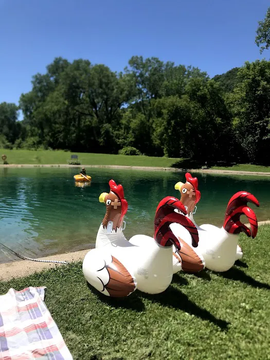 Bluebird Campground / Rec Hall bar and grill - campground now fully open Picture 9