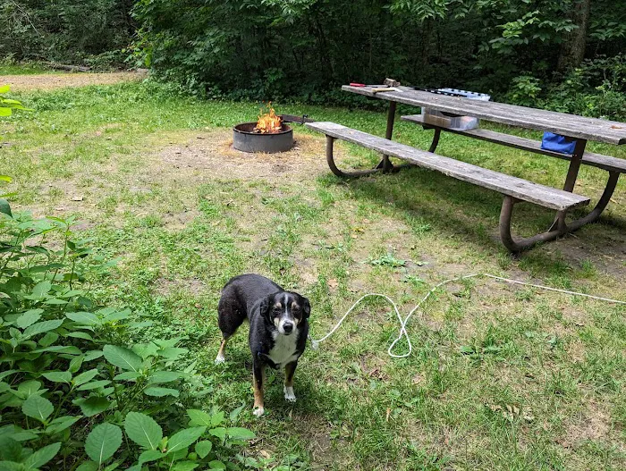 Beaver Creek Valley Campground Picture 7