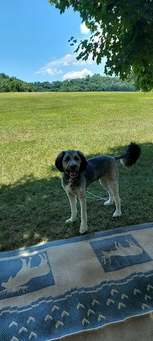 Leon Valley Campground Picture 9