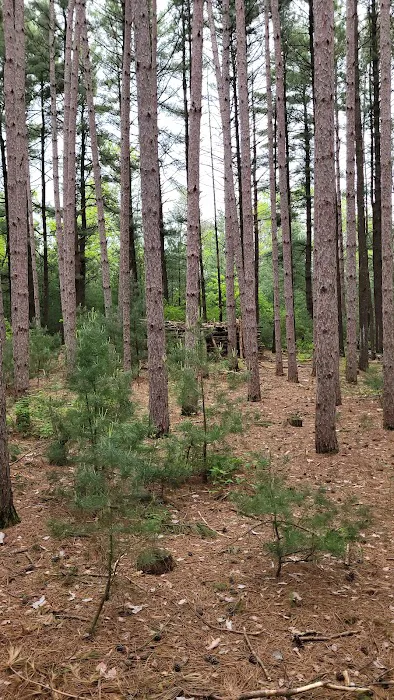 Leon Valley Campground Picture 5