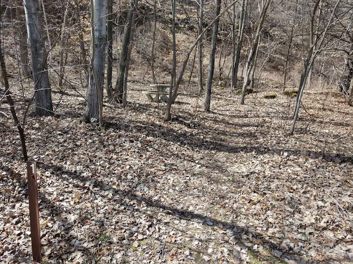 Great Bluffs State Park Bike-In Campsites Picture 4