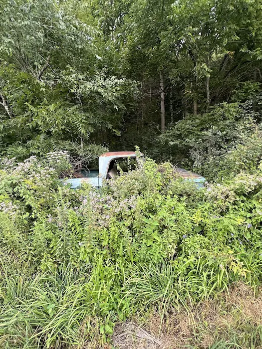 Sampson Springs Campground Picture 4