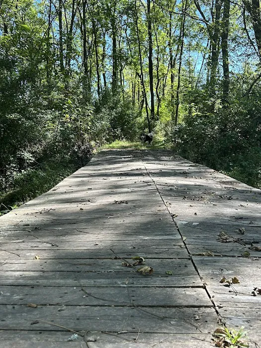 Middle Bear Campground Picture 3