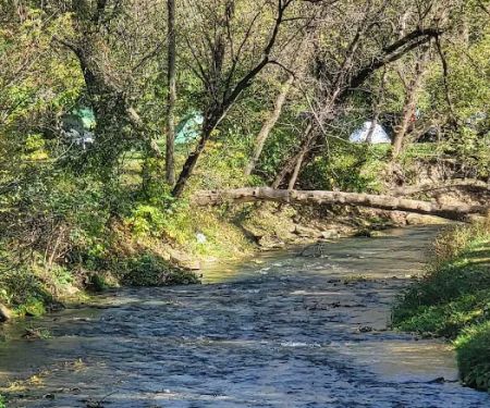 Pulpit Rock Campground