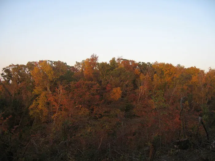 Hidden Valley Campground Picture 1