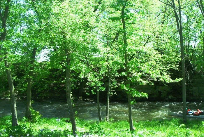 Little Turkey River Campground LLC Picture 4