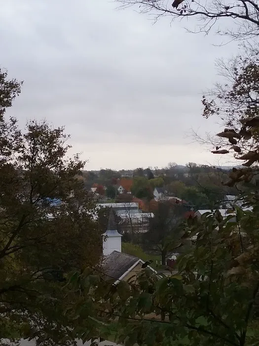 Forestry Department Picture 8