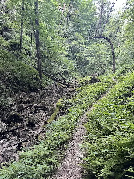 Riverside Park Campground Picture 4