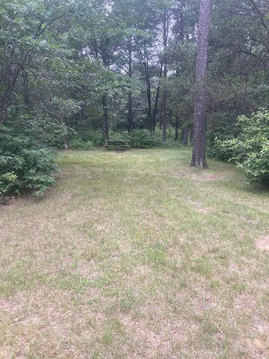 Moonlite Trails Campground Llc Picture 4