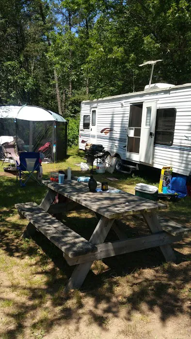 Moonlite Trails Campground Llc Picture 8