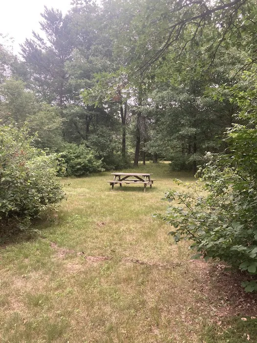 Moonlite Trails Campground Llc Picture 2