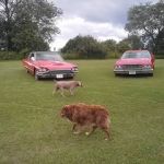 Iola Car Show Campgrounds