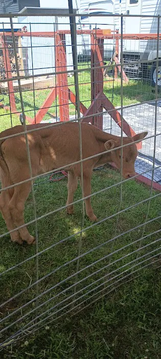 Leeman Landing Campground Picture 3