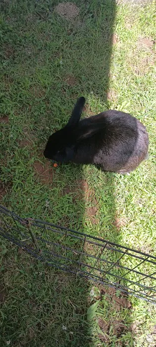 Leeman Landing Campground Picture 1