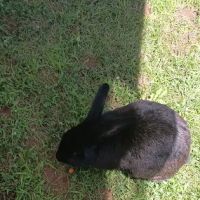 Leeman Landing Campground ico