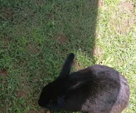 Leeman Landing Campground