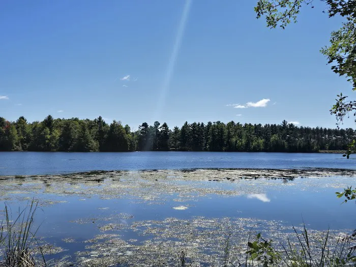 Jordan County Park Campground Picture 7