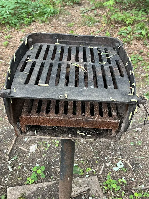 Jordan County Park Campground Picture 6