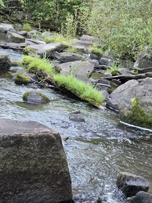 Jordan County Park Campground Picture 4