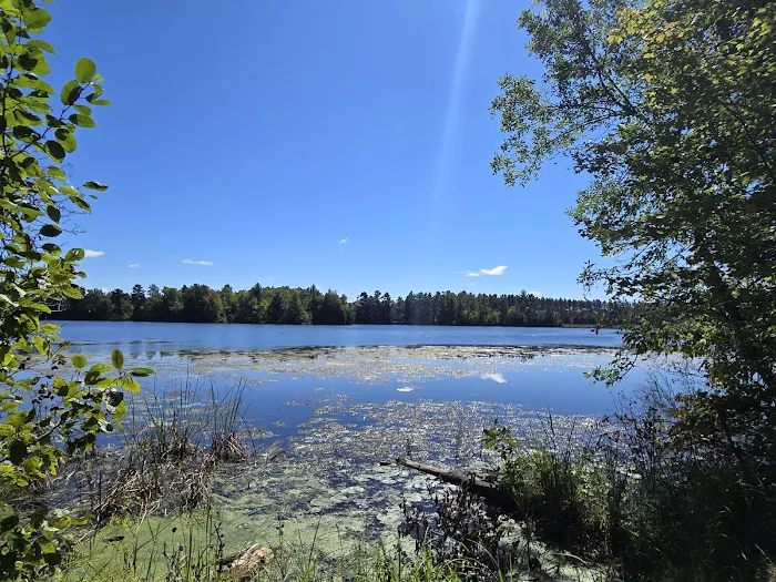 Jordan County Park Campground Picture 5