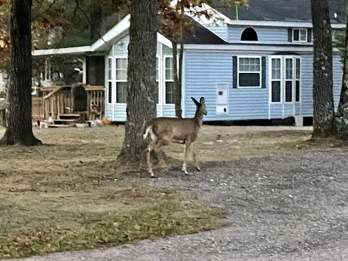 Crane Berry Campground, LLC Picture 1