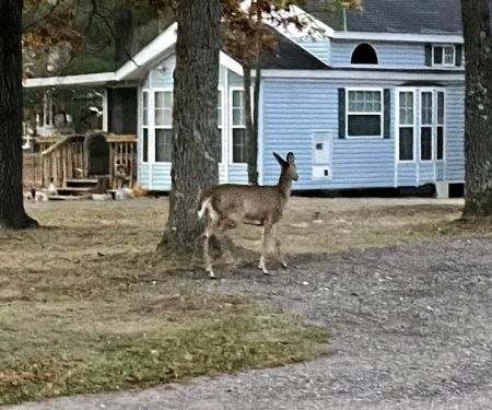 Crane Berry Campground, LLC