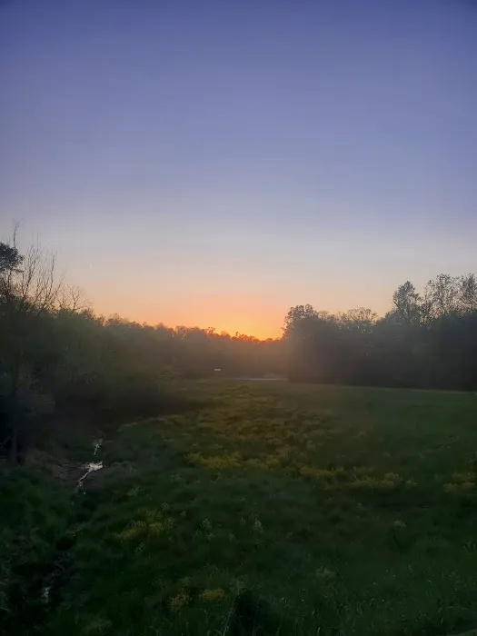 Bluffview Picture 4