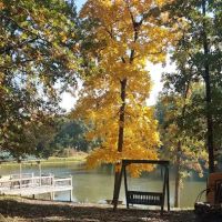 Emerald Oaks ico