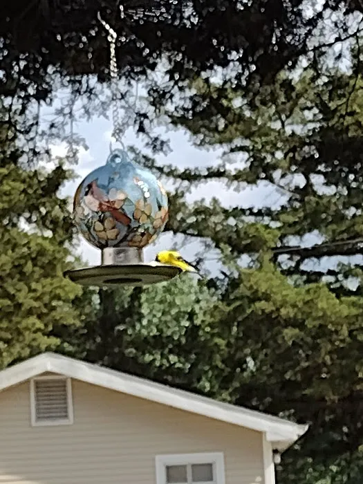 Hillbilly's Campground Picture 7