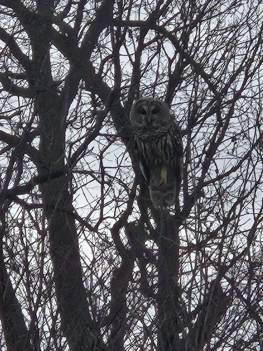 Salty cedar cabins Picture 1