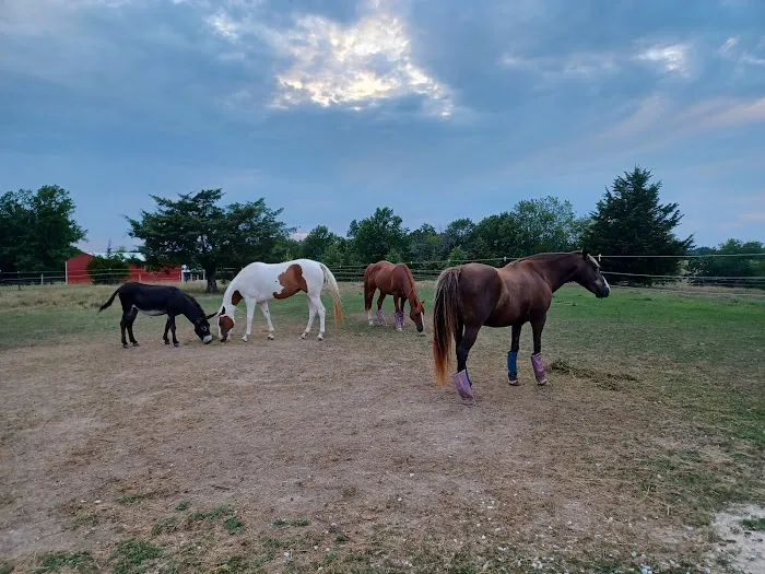 Double Hearts Ranch Picture 2