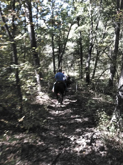 V.P. Lone Star Campground Picture 9