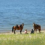 V.P. Lone Star Campground