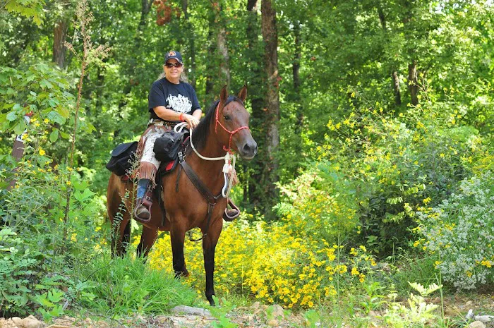 V.P. Lone Star Campground Picture 7
