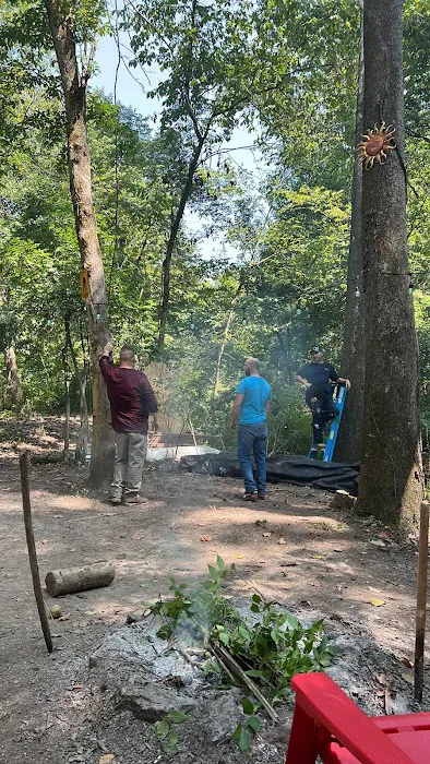 The Bear Den Picture 3